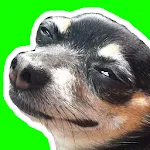 Dogs Stickers memes WASticker | Indus Appstore | App Icon