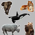 Animals Stickers | Indus Appstore | App Icon