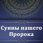 Сунны нашего Пророка | Indus Appstore | App Icon