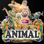 Animal Video Status | Indus Appstore | App Icon