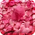 Flower Petals 3D Wallpaper HD | Indus Appstore | App Icon