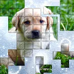 PicPu - Dog Picture Puzzle | Indus Appstore | App Icon