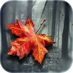 Autumn Wallpaper HD Live Theme | Indus Appstore | App Icon