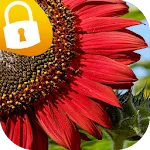 Sunflower Passcode Lock Screen | Indus Appstore | App Icon