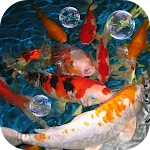 Koi Live Wallpaper | Indus Appstore | App Icon