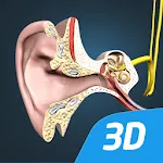 The mechanism of hearing 3D | Indus Appstore | App Icon