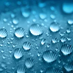 Raining Day Live Wallpaper | Indus Appstore | App Icon