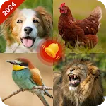 Animal ringtones-Animal sounds | Indus Appstore | App Icon