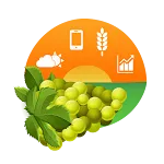 Amigrapes | Indus Appstore | App Icon