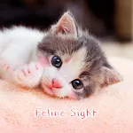 Feline Sight Theme | Indus Appstore | App Icon