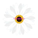 Flower Arrangement_3 | Indus Appstore | App Icon