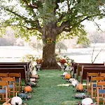 Outdoor Wedding Decor | Indus Appstore | App Icon