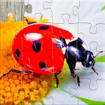 Insect Jigsaw Puzzle Game Kids | Indus Appstore | App Icon