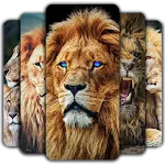 Lion Wallpaper | Indus Appstore | App Icon