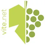 vite.net | Indus Appstore | App Icon