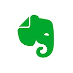 Evernote - Note Organizer | Indus Appstore | App Icon