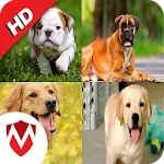 50 Dog sounds | Indus Appstore | App Icon