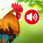 Animal sounds: Bird songs | Indus Appstore | App Icon