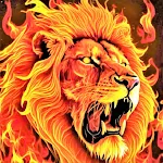 Lion Wallpaper HD | Indus Appstore | App Icon