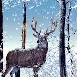 Winter Forest Live Wallpaper | Indus Appstore | App Icon