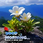 Good Morning Images 2024 | Indus Appstore | App Icon