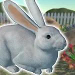 Rabbit Friends - caring games | Indus Appstore | App Icon