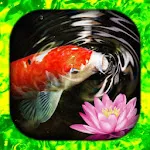 Koi Fish Wallpaper Live HD/3D | Indus Appstore | App Icon