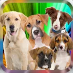 Guess dog breed | Indus Appstore | App Icon