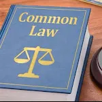 Common law | Indus Appstore | App Icon