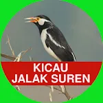 Suara Kicau Jalak Suren Gacor | Indus Appstore | App Icon