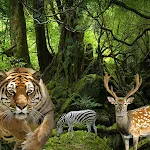 Angry Leopard - Chase Animals | Indus Appstore | App Icon