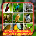 1200+ Suara Kicau Burung MP3 | Indus Appstore | App Icon