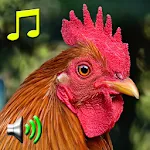 Alarm Clock Ringtones | Indus Appstore | App Icon