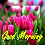 Beautiful Good Morning Cards | Indus Appstore | App Icon