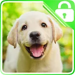 Labrador Retriever Lock Screen | Indus Appstore | App Icon