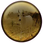 Animal Husbandry Tips | Indus Appstore | App Icon