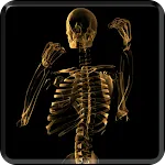 Skeleton Video Live Wallpaper | Indus Appstore | App Icon