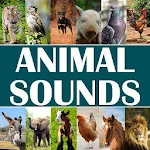 Animal Sounds for Kids | Indus Appstore | App Icon