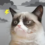 Grumpy Cat Weatherapp icon