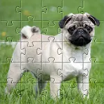 Pugs jigsaw puzzle dogs | Indus Appstore | App Icon