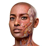 Complete Anatomy 2024 | Indus Appstore | App Icon