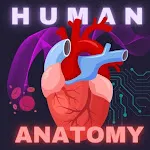 Human Anatomy E Theories | Indus Appstore | App Icon