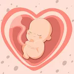 HiMommy: Pregnancy Tracker App | Indus Appstore | App Icon