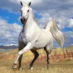 Horses Jigsaw Puzzles | Indus Appstore | App Icon