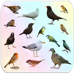 Birds Encyclopedia | Indus Appstore | App Icon