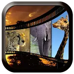 Animal Sounds | Indus Appstore | App Icon