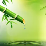 Relaxing Zen Music:Water Sound | Indus Appstore | App Icon