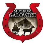 Muzeum Galowice | Indus Appstore | App Icon