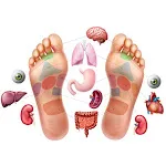 Reflexology massage | Indus Appstore | App Icon