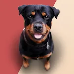 Barking Dog Sounds Ringtonesapp icon